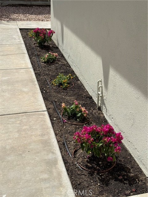 Building Photo - 1342 Opal Ave