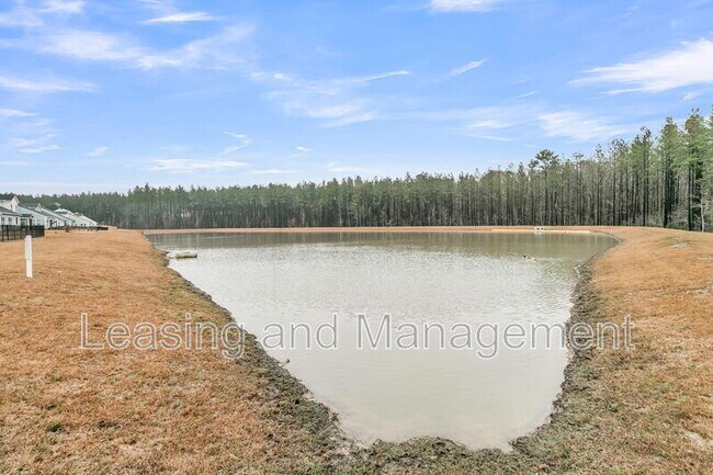 Building Photo - 245 Summer Tanager Dr
