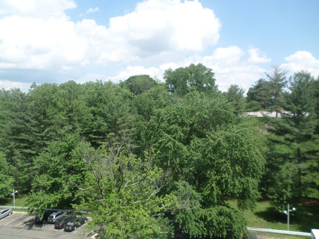 Building Photo - 2939 Van Ness St NW