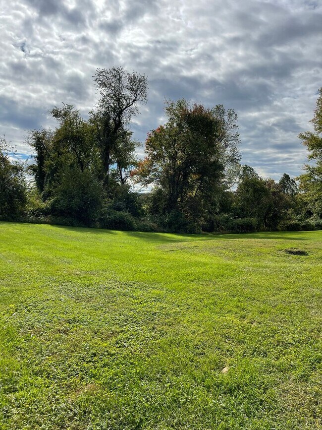 Building Photo - Country Setting located between Elkton & N...