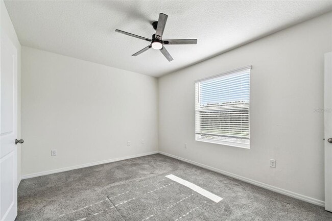 Building Photo - 32173 Turtle Grace Lp