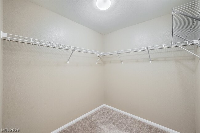 Building Photo - 3811 Total Eclipse St