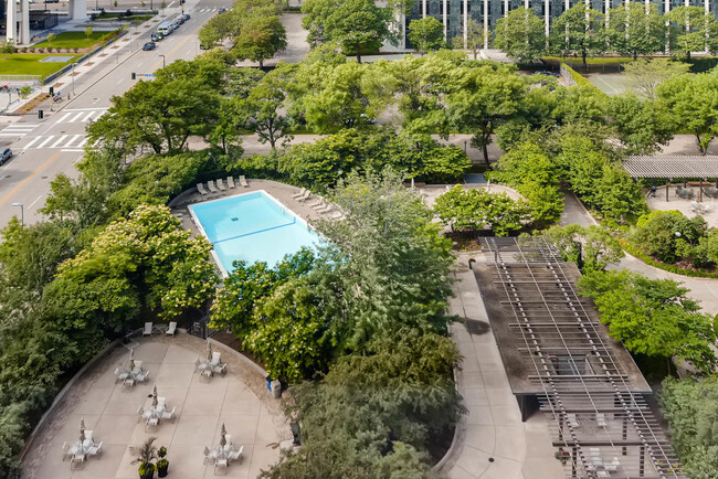 Garden area from rooftop. Largest in the city. - 15 S 1st St