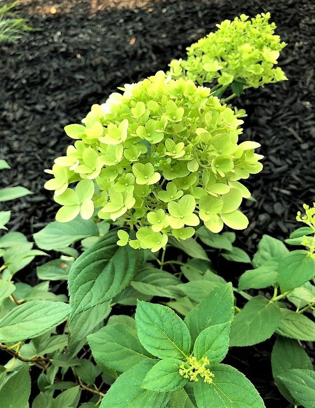 Building Photo - 2144 Royal Dr