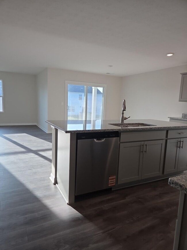 Building Photo - Brand new 4 bed 2 bath house with everything!