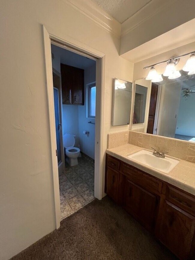 Building Photo - 3609 Planz Rd