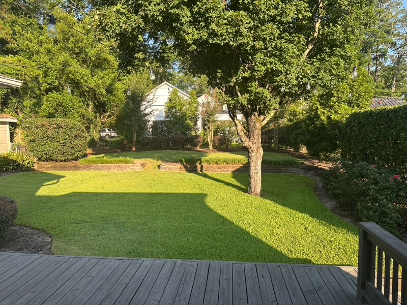 Building Photo - 749 Poinsettia St