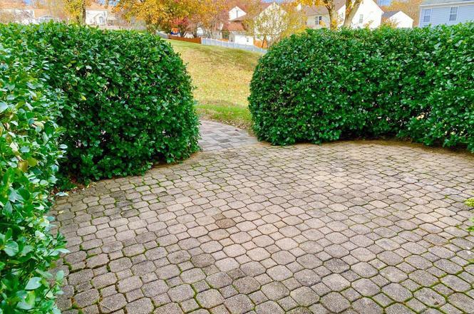 Building Photo - 1104 Red Harvest Rd