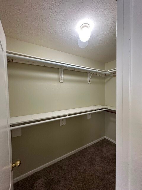 Building Photo - 8502 Sweetstone Field Ct