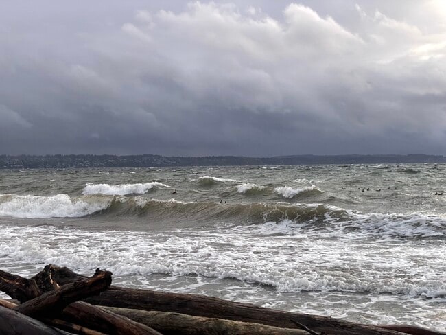 Building Photo - 22985 Marine View Dr S