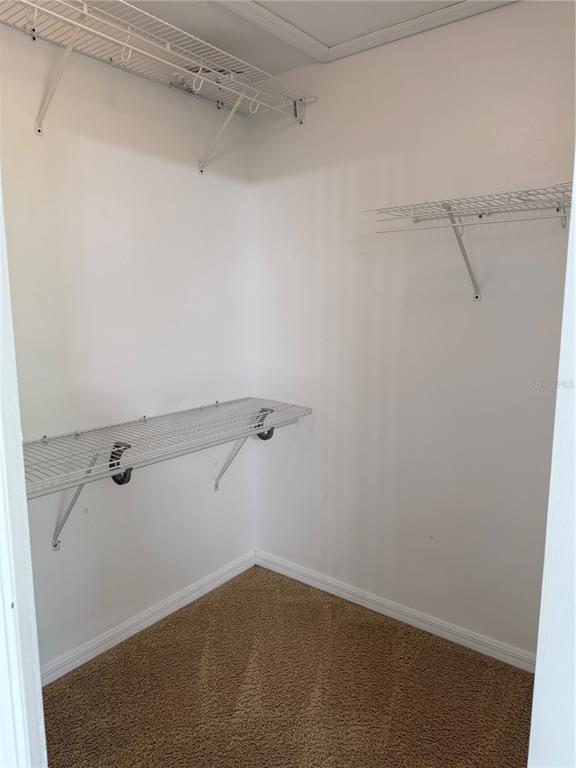 Building Photo - 10760 Plantation Bay Dr