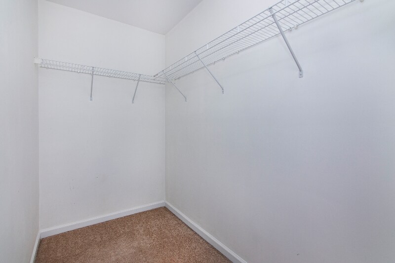 Building Photo - 8348 Chaceview Ct
