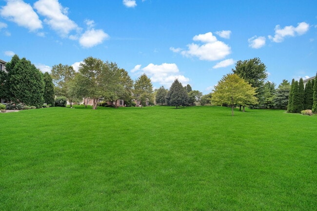 Building Photo - 1031 Ravendale Ct