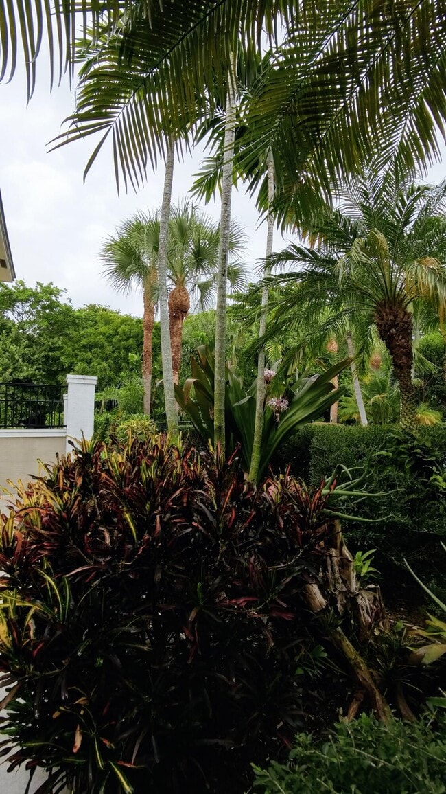 Building Photo - 1000 Palm Trail