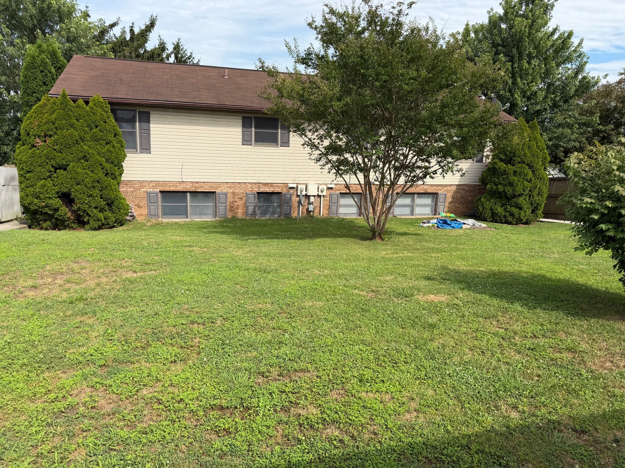 Lovely back yard and back of home - 917 Rose Hill Ave