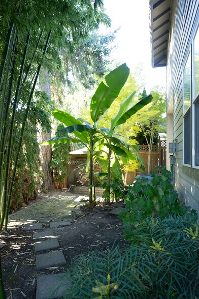 Building Photo - 15550 SW Cynthia Ln