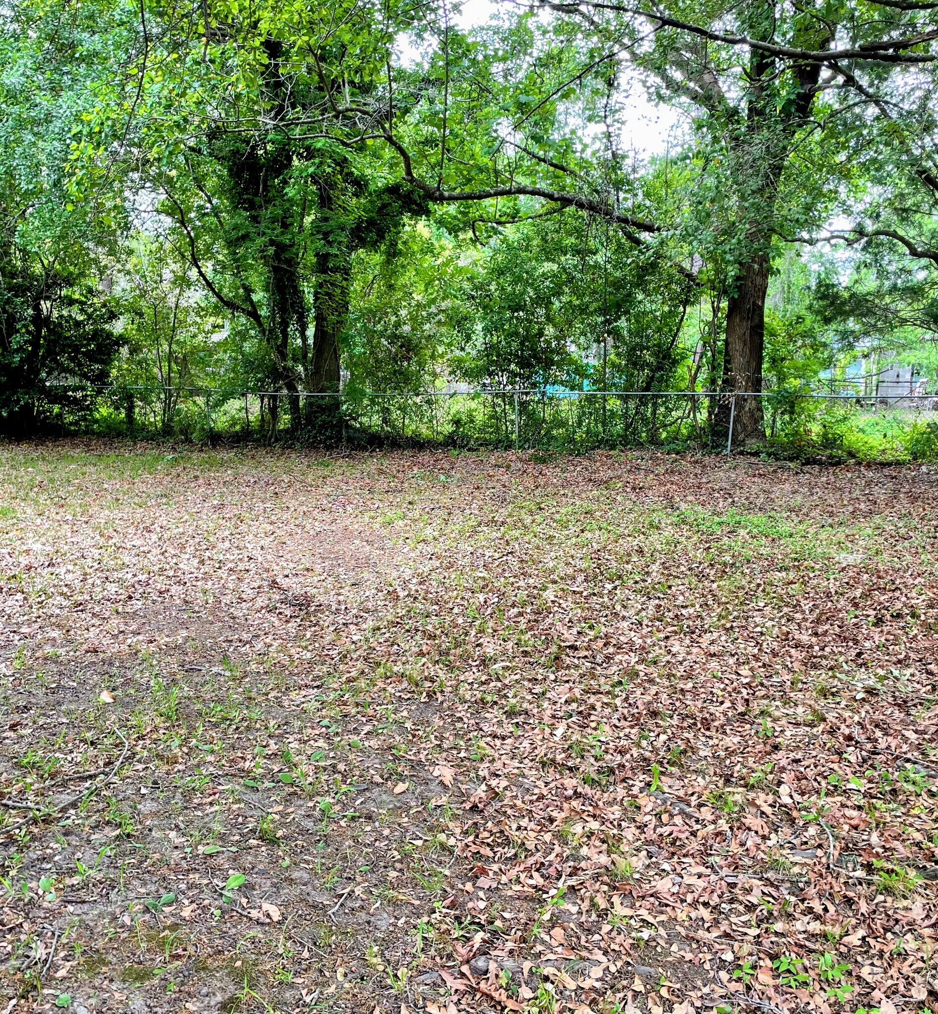 Backyard - 725 W Sherwood Dr