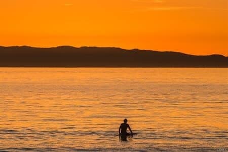 Building Photo - 1808 W Balboa Blvd