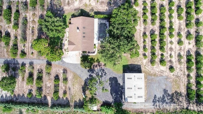 Building Photo - 7740 Lake Hatchineha Rd