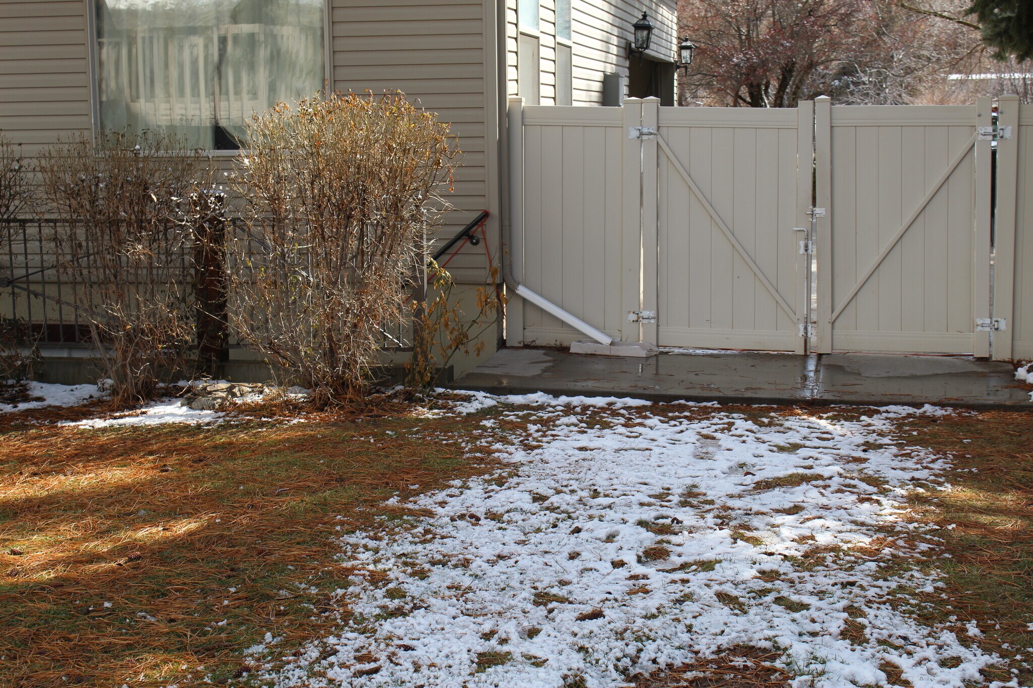 Building Photo - 1410 Canyon Dr