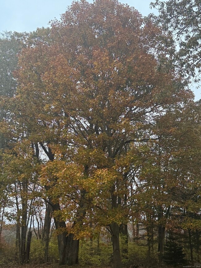 Building Photo - 74 Baxter Rd