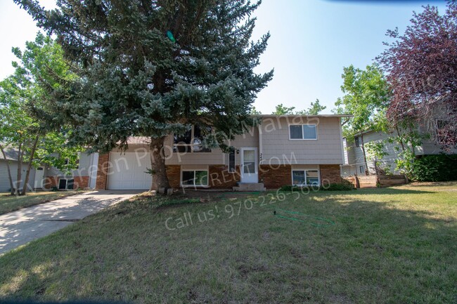 Primary Photo - 3 Bedroom, 2 Bath Home in Fort Collins!