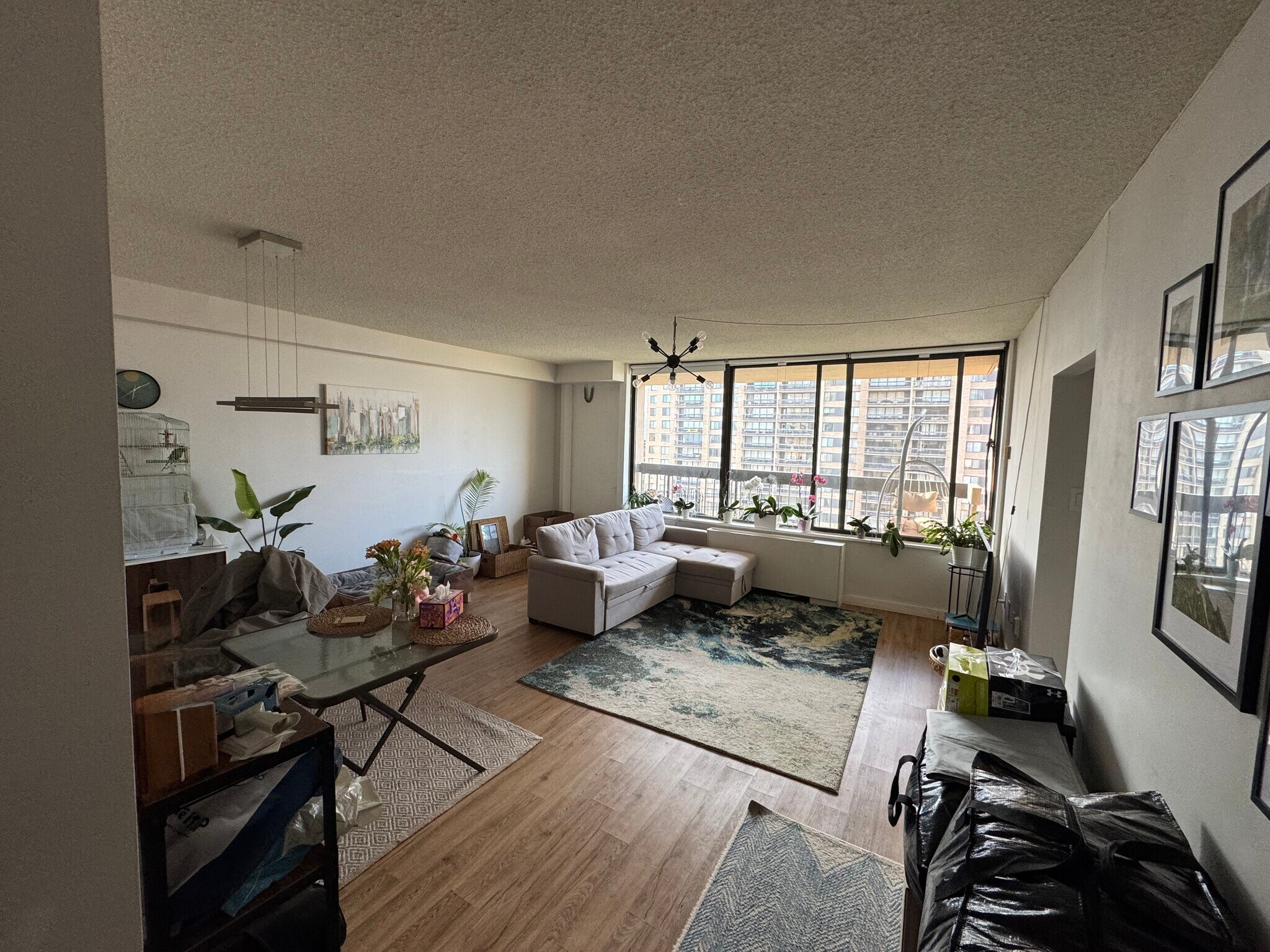 Living room - 3705 S George Mason Dr