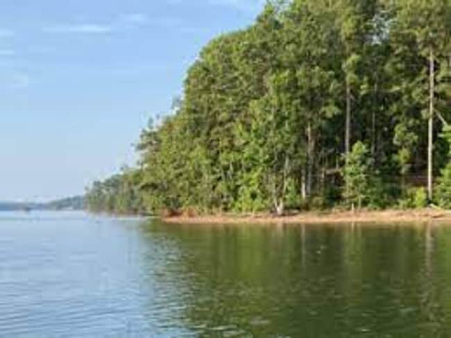 Building Photo - Beautiful 3 bedroom, 3 bathroom with large...