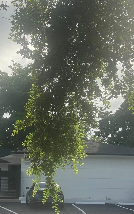 Building Photo - 7800 NE 10th Ct