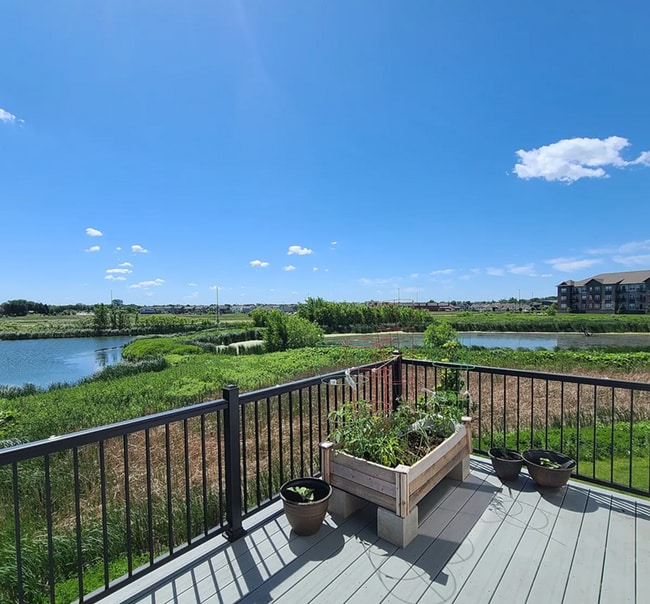 Building Photo - Beautiful 4bed 3.5bath End Unit Townhome With Walk-Out Basement!