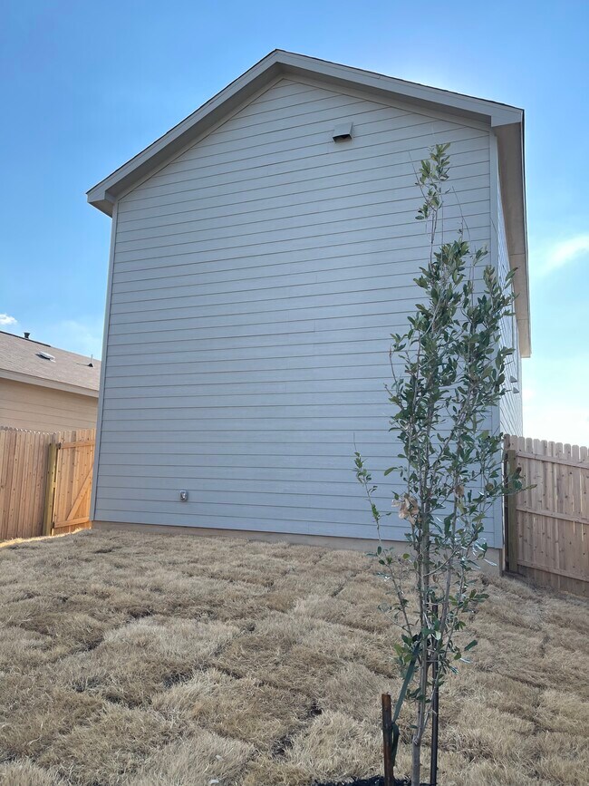 Backyard - 20418 Onyx Ring