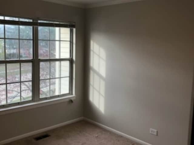Building Photo - 612 Newbury Ln