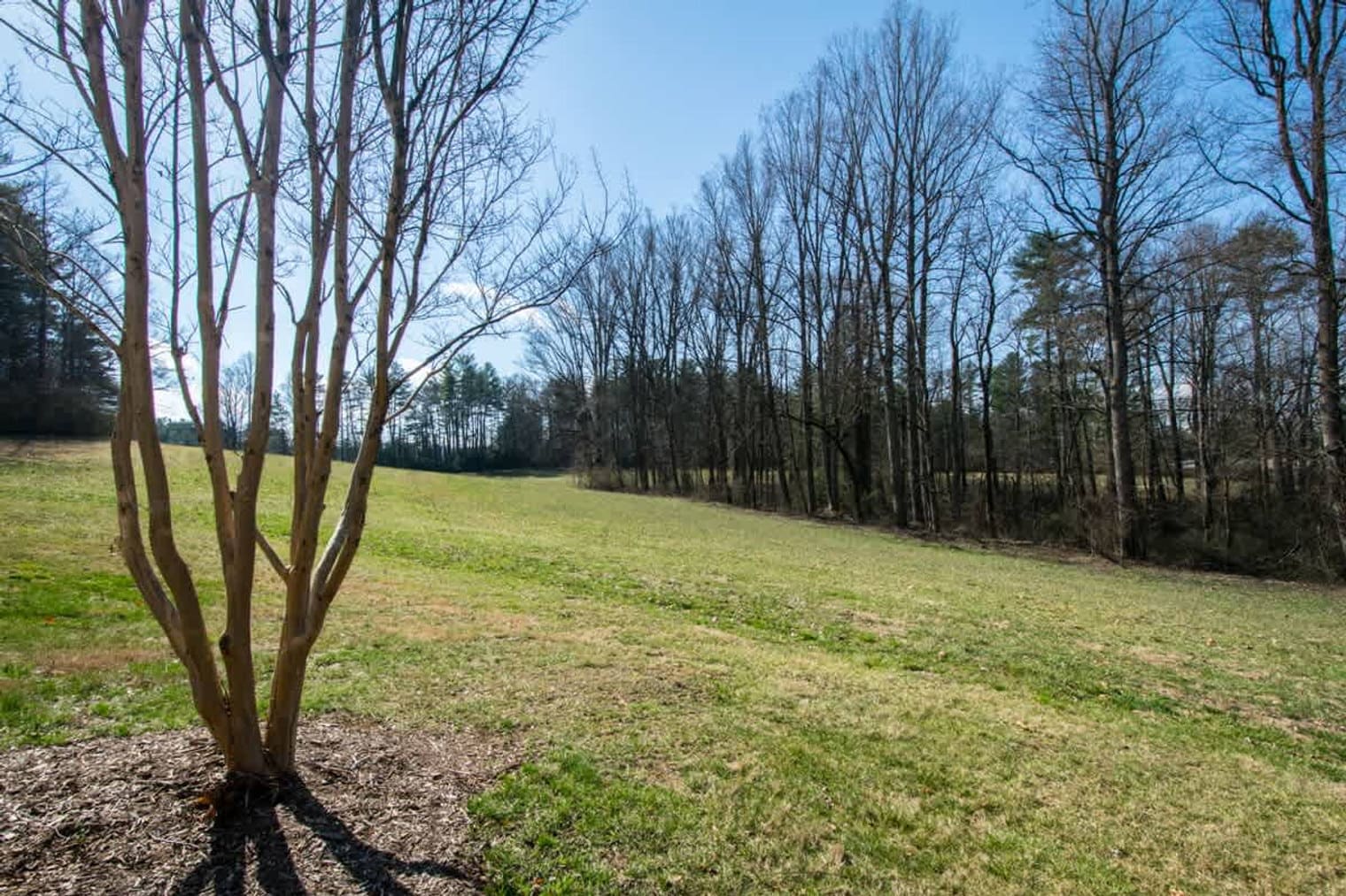 Building Photo - 224 Prestwood Ln