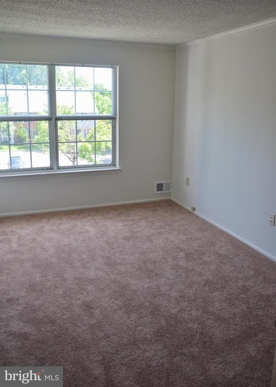 Building Photo - 74 Lehavre Ct