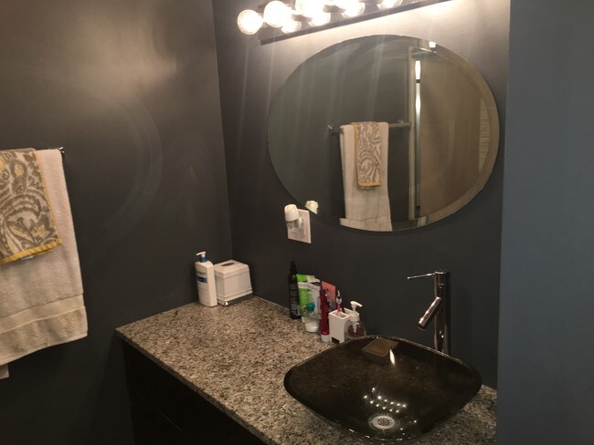 Downstairs Bathroom - 2334 W Polk St