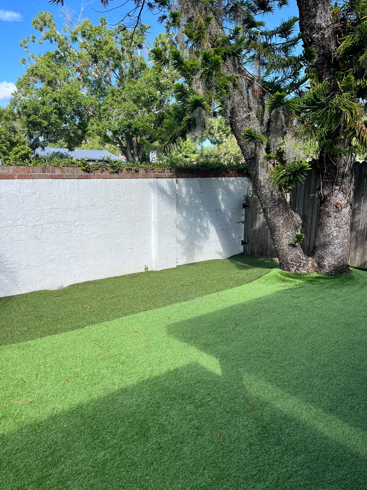 Yard - 4114 Woodlark Dr