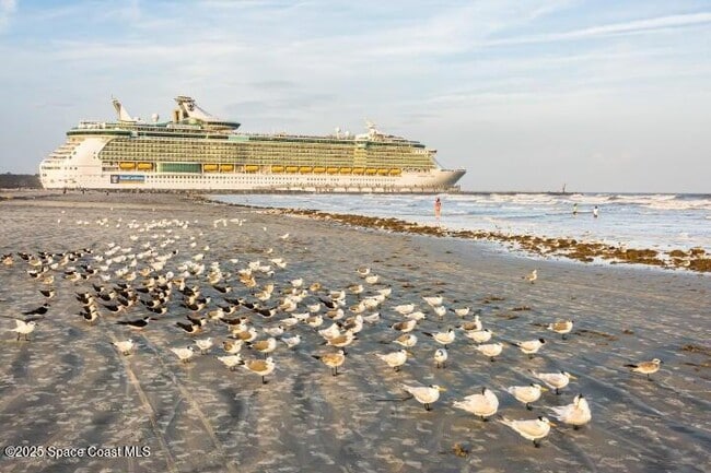 Building Photo - 801 S Brevard Ave