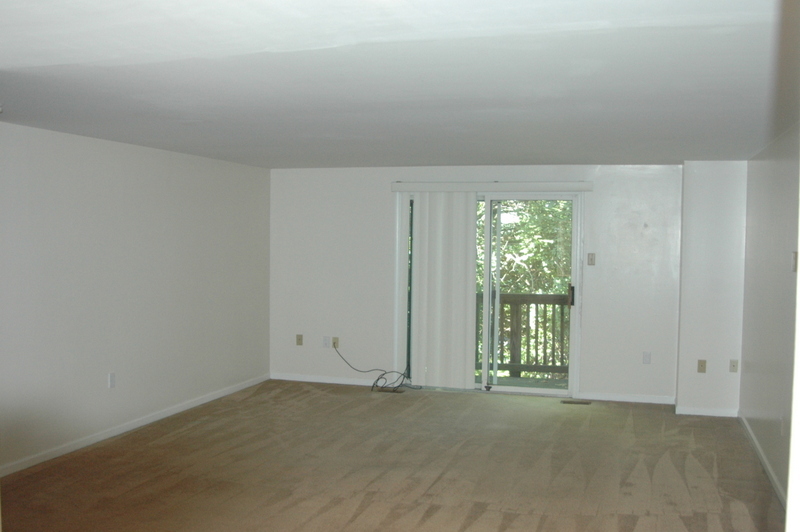 Living Room w/ Deck - 613 Windsor Ave