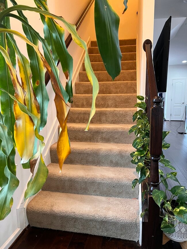 Building Photo - 7932 John Galt Wy