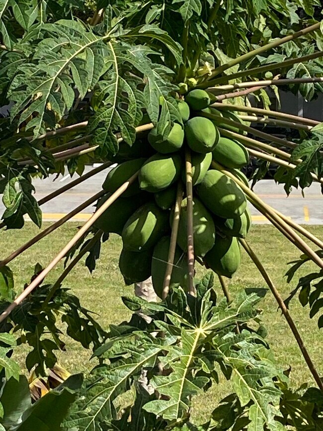 Building Photo - 72 Newport D