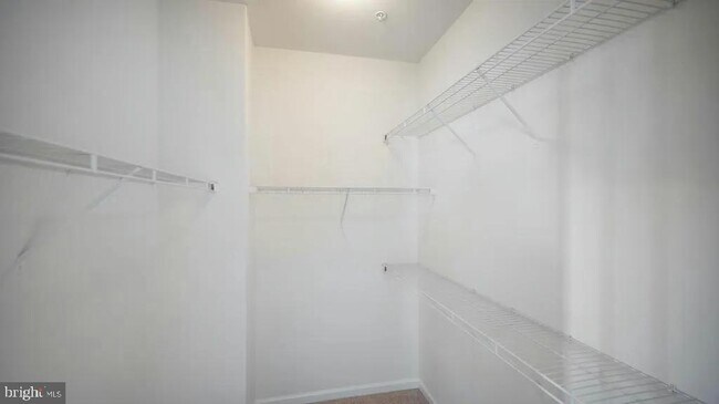 Building Photo - 11830 Steeplebush Dr