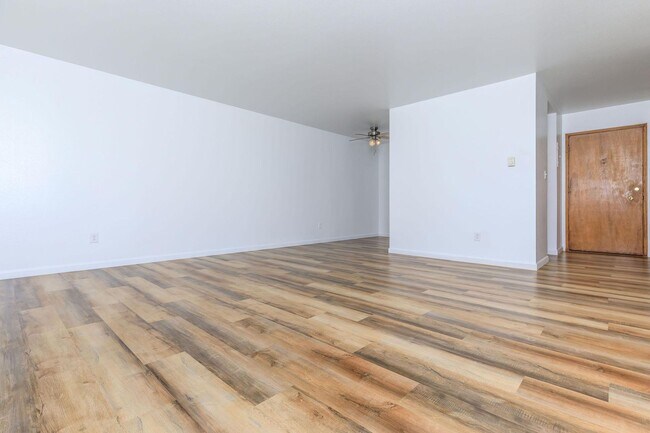 Interior Photo - Tiki Apartments