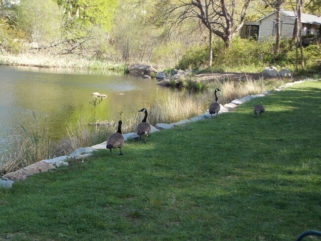 Building Photo - 25 1/2 King St