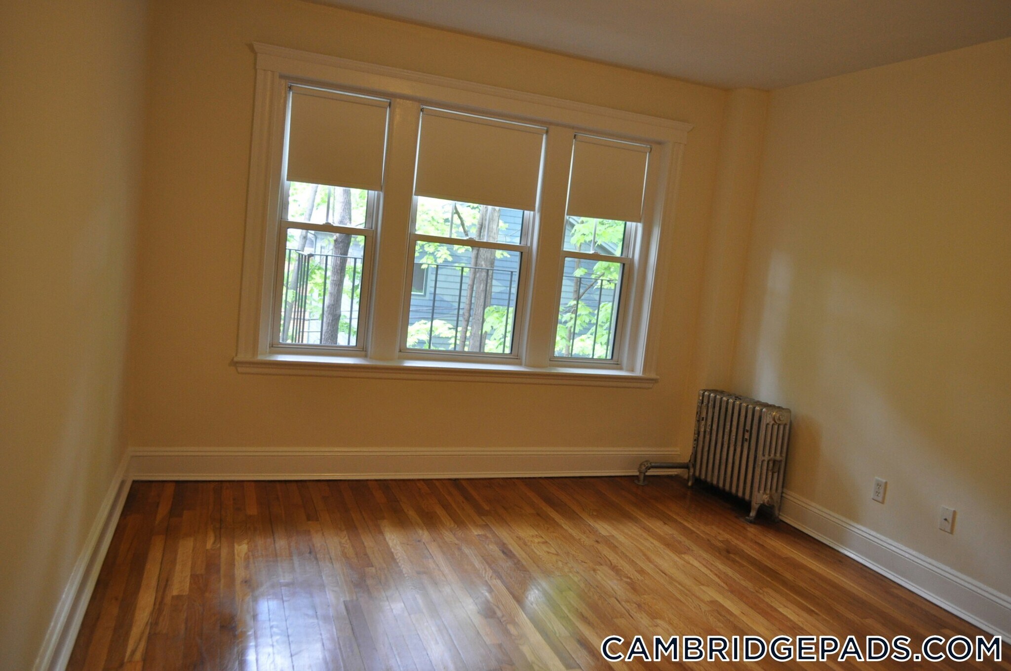 Building Photo - 19 Wendell St