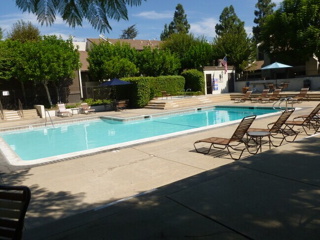 Pool - 584 W Huntington Dr