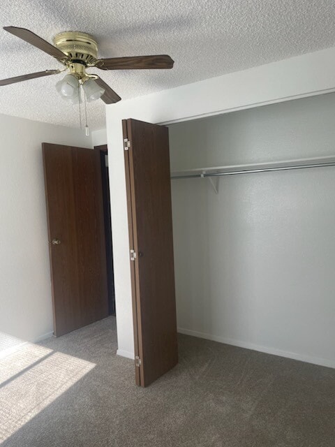 Closet in 2nd bedroom - 240 W Kyle Dr