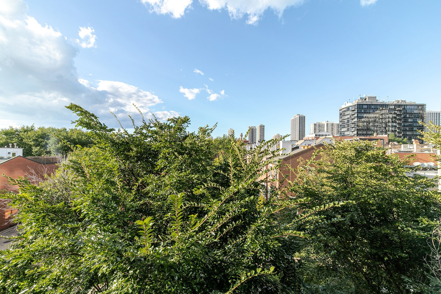 Building Photo - 211 W Scott St