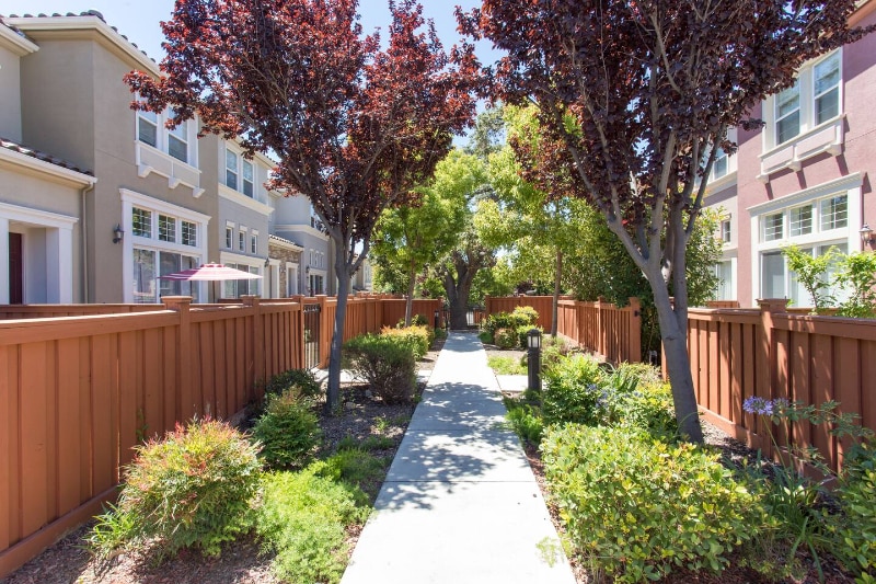 Building Photo - 308 Vista Roma Way