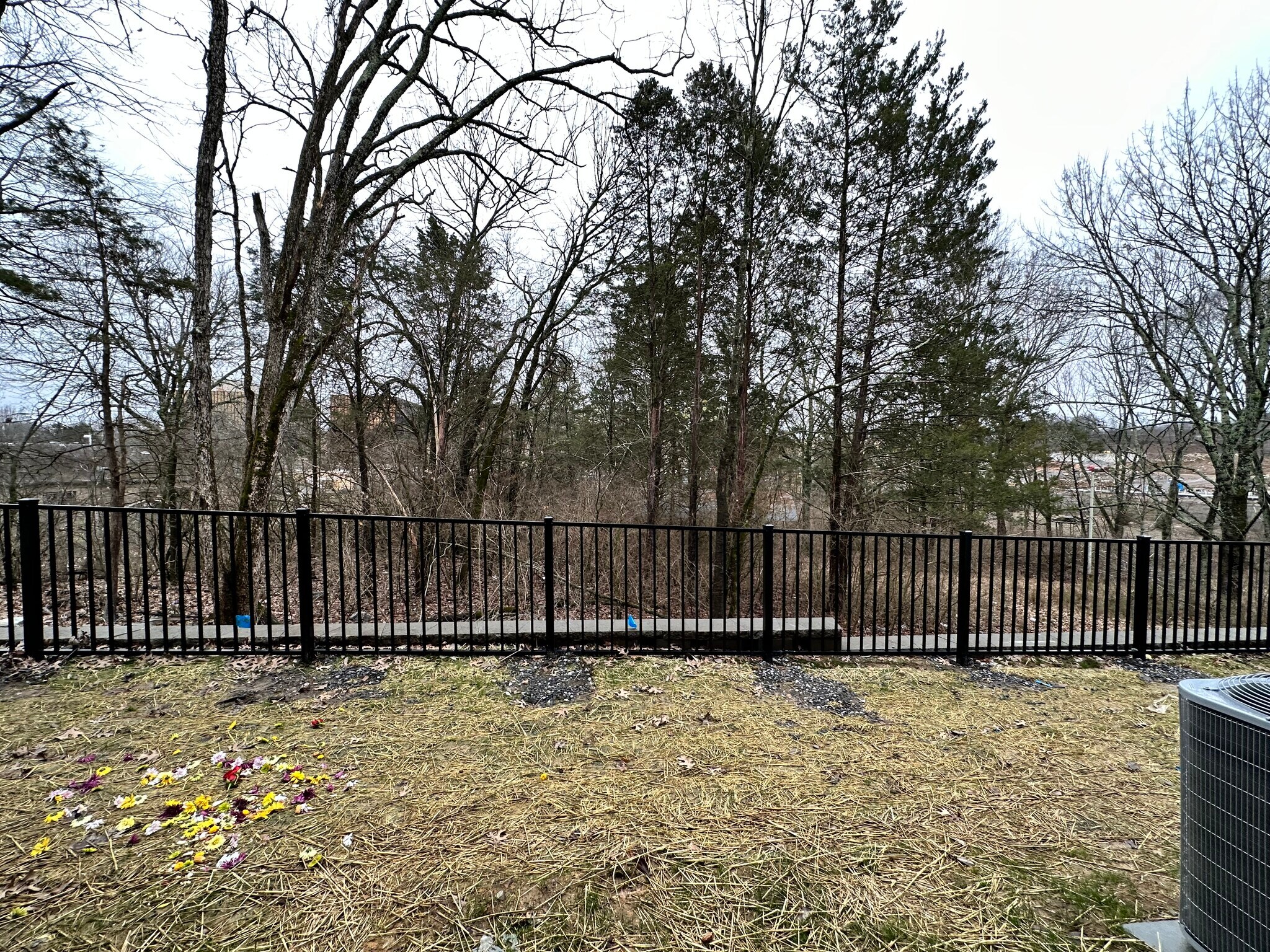 Building Photo - 1535 Yarra St