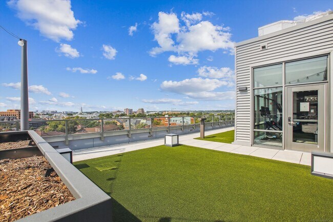 Roof top deck - 1201 N Royal St